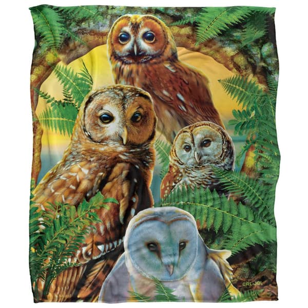 JQ Licensing Silky Owl Supersoft-peitto