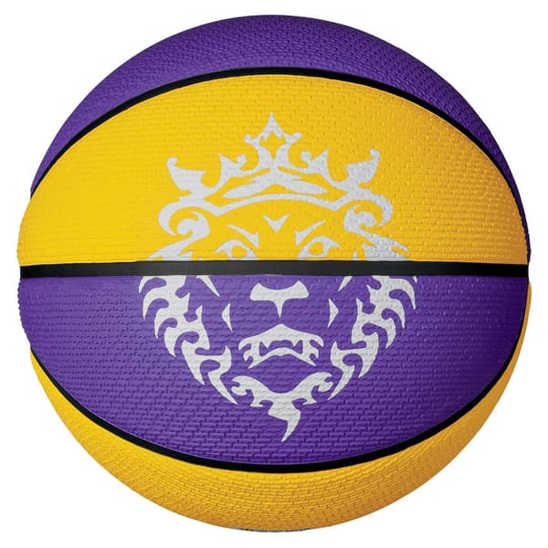 Nike LeBron Basketball