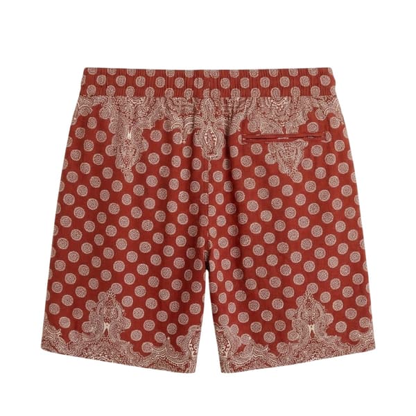 Another Influence Paisley shorts til mænd