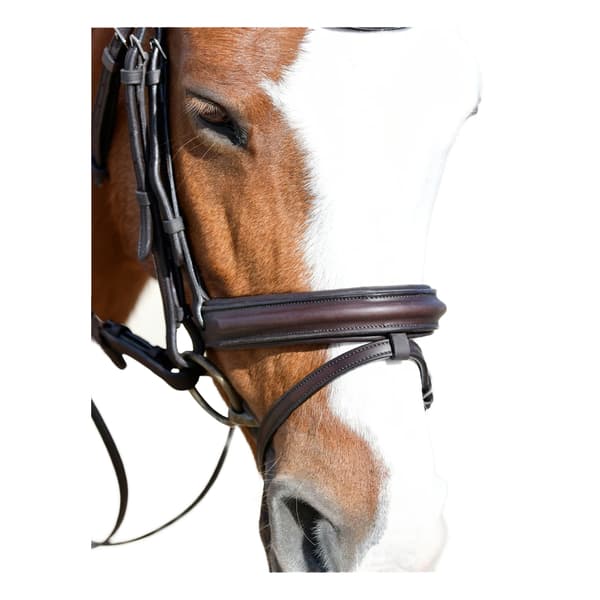 Collegiate Comfitec Leather Horse Bridle