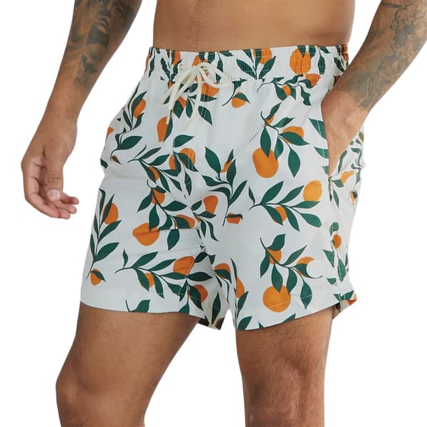 Threadbare Mens Ripen Regular Swim Shorts
