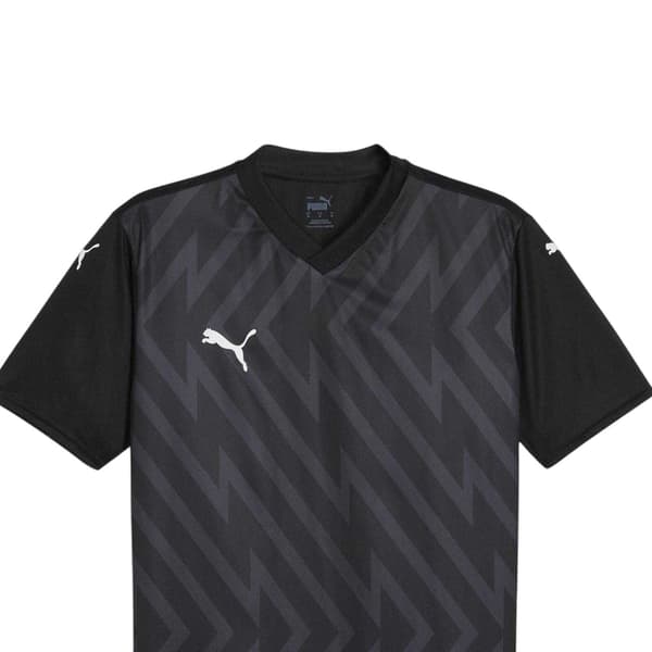Puma Herr Teamglory Tröja T-shirt
