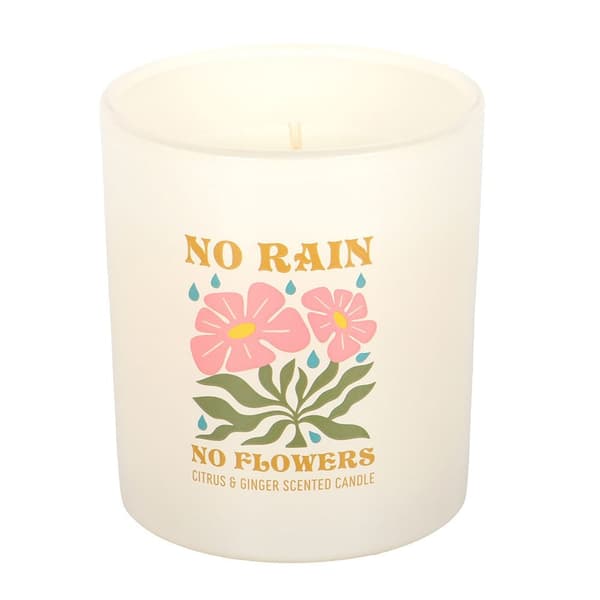 Something Different No Rain, No Flowers Citrus & Ginger Scented Candle