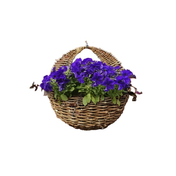 Ambassador Rattan Väggkorg