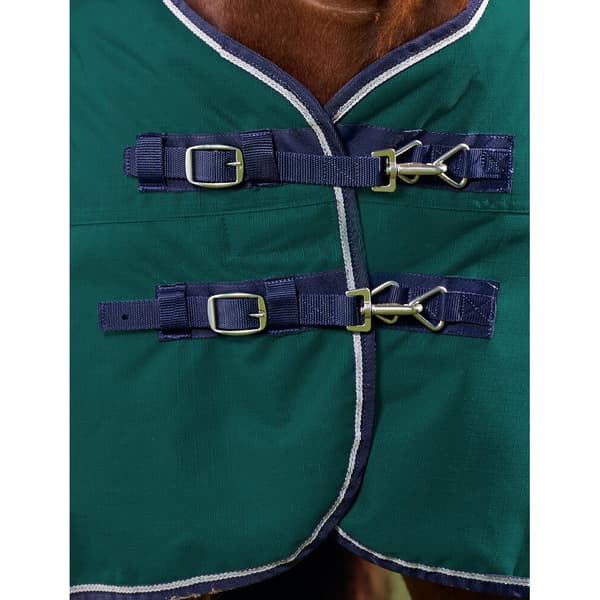 Weatherbeeta Comfitec Plus Dynamic Standard-Neck Logo -hevosen ulkoloimi