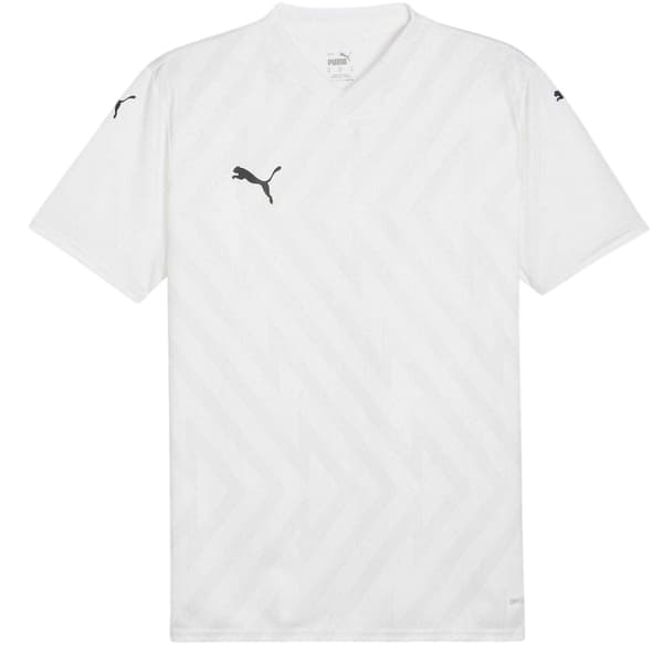 Puma Herr Teamglory Tröja T-shirt