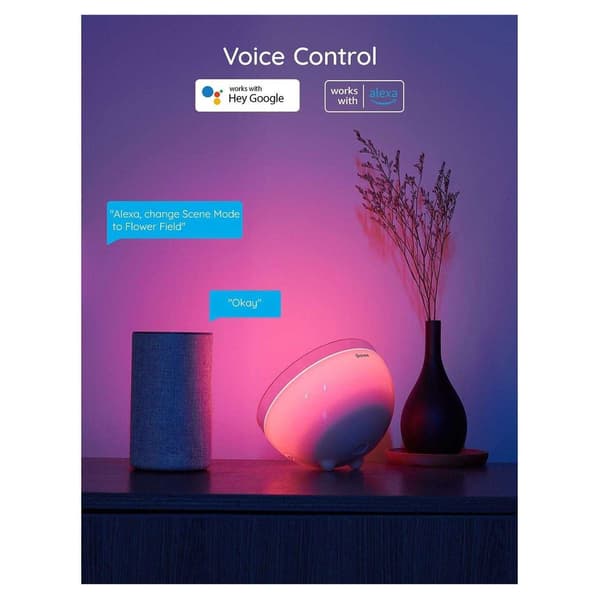 Govee RGB Plastic Table Lamp