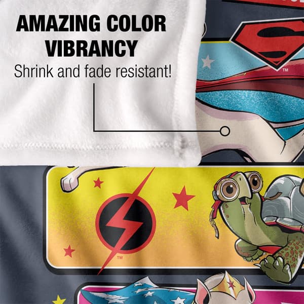 DC Comics League Of Super Pets Character Panel Blanket