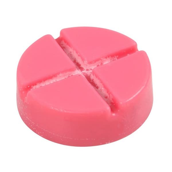 Something Different Poison Apple Disc Wax Melt