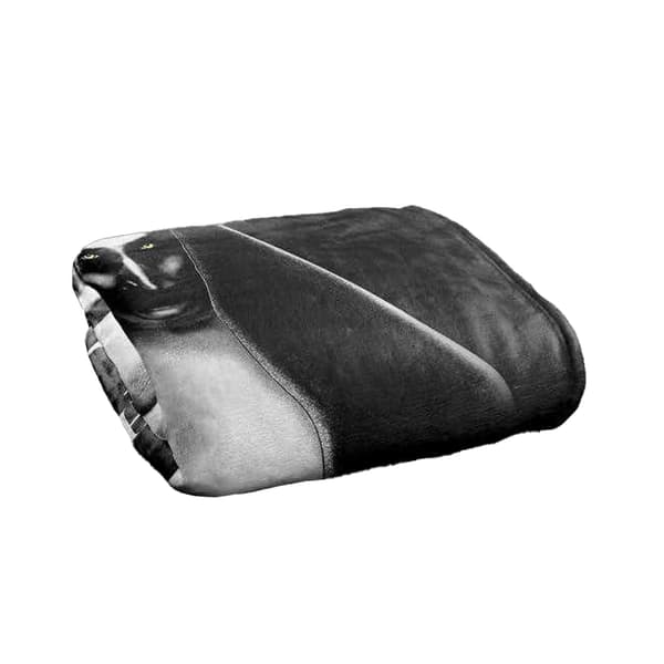 The Nun Valak Logo Soft Touch Blanket