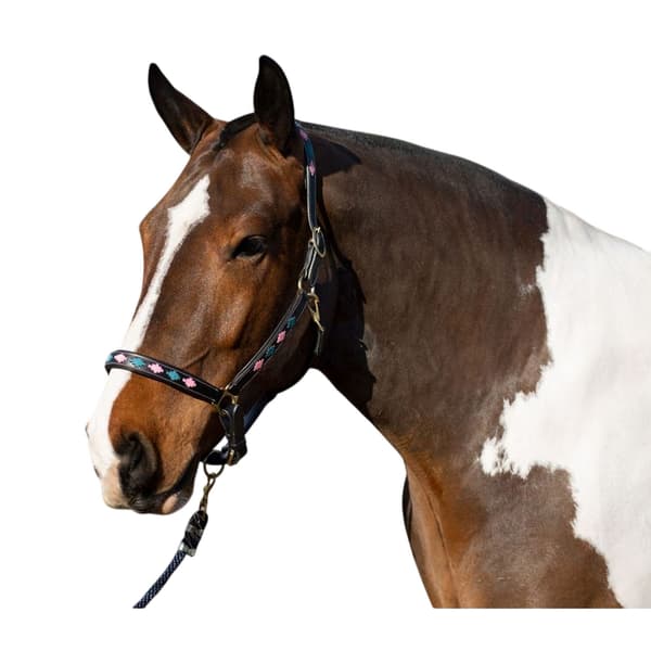 Gallop Diamond Vadderad Lädergrimma för Häst