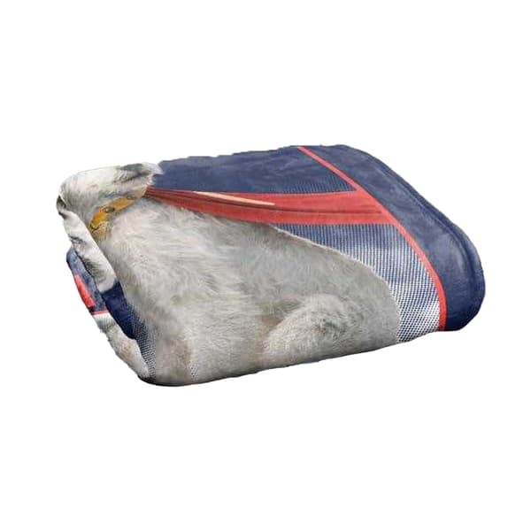 Superman Krypto 2025 Good Dog Blanket