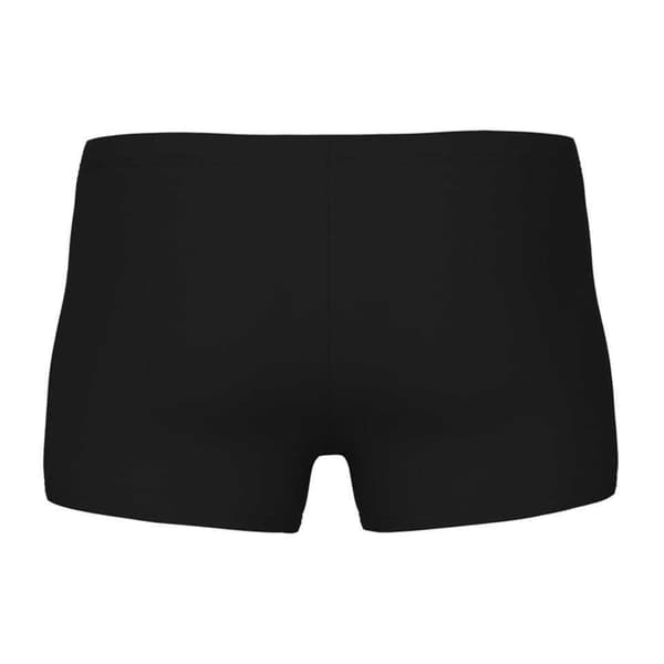Arena Poseidon Logo Badshorts för män