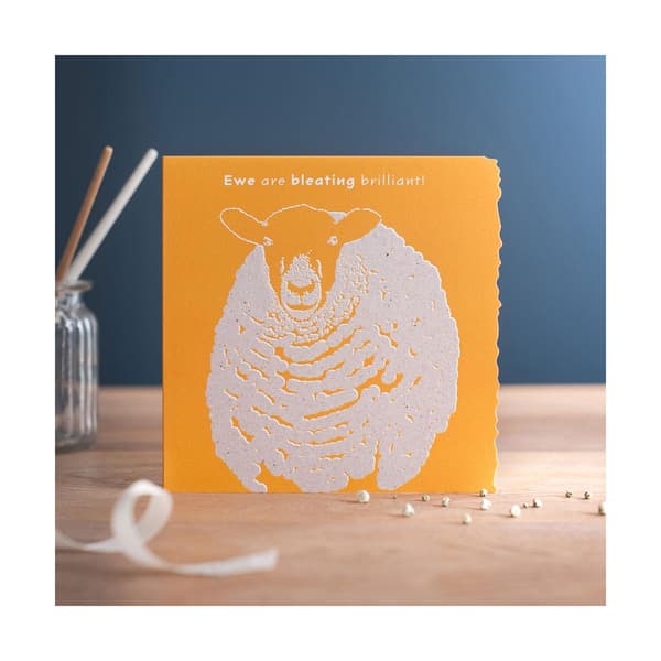 Deckled Edge Colour Block Animal Greetings Card