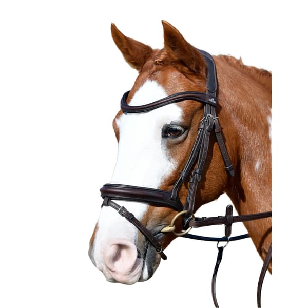 Collegiate Comfitec Leather Horse Bridle