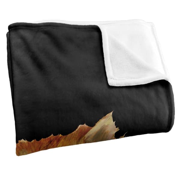 Harry Potter Crookshanks Soft Touch Blanket