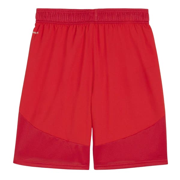 Puma TeamFinal Fotbollsshorts för män