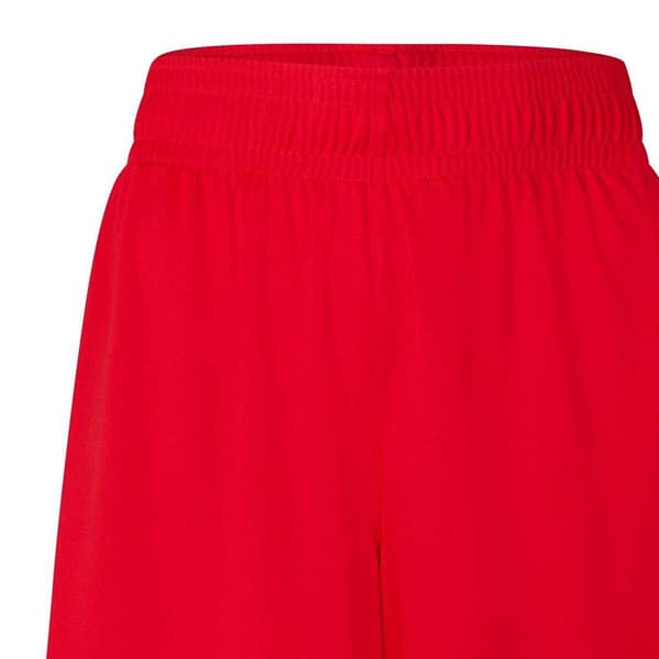 Puma Hoops Team Game Performance Shorts för damer