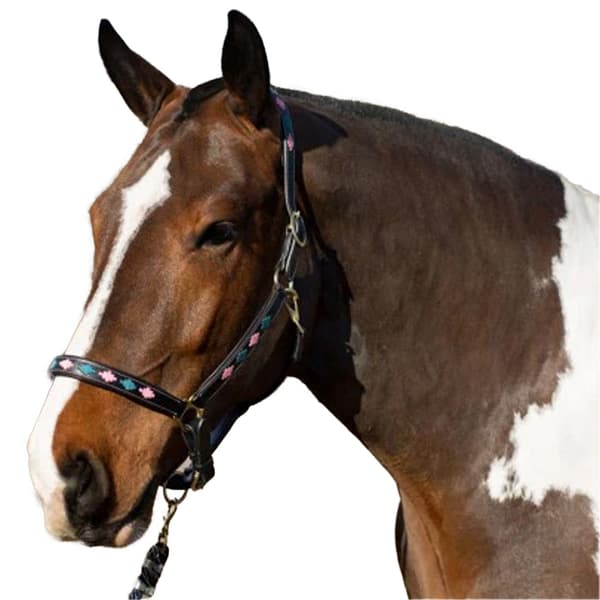 Gallop Diamond Vadderad Lädergrimma för Häst