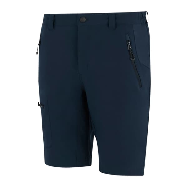 Regatta Miesten Prolite Stretch -sortsit