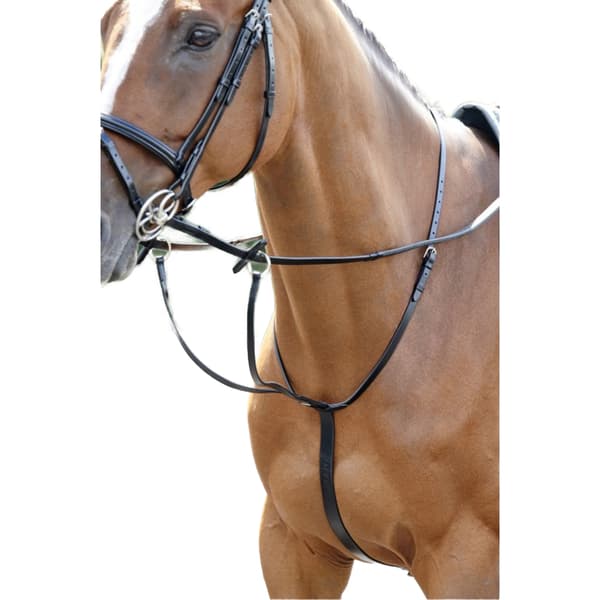 Whitaker Barton Leather Horse Martingale