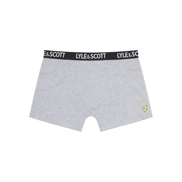 Lyle & Scott Barn/Kids Ned Boxertrosor (5-pack)