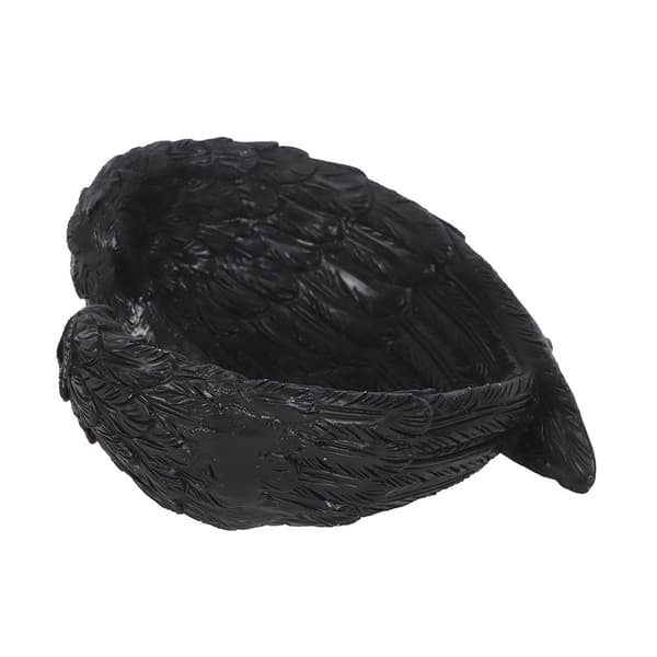 Something Different Raven Wings Smyckesfat