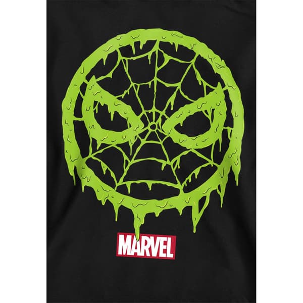 Spider-Man Barn/Kids Lo Pull Over Hoodie