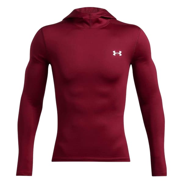 Under Armour Långärmad Hoodie för Herr