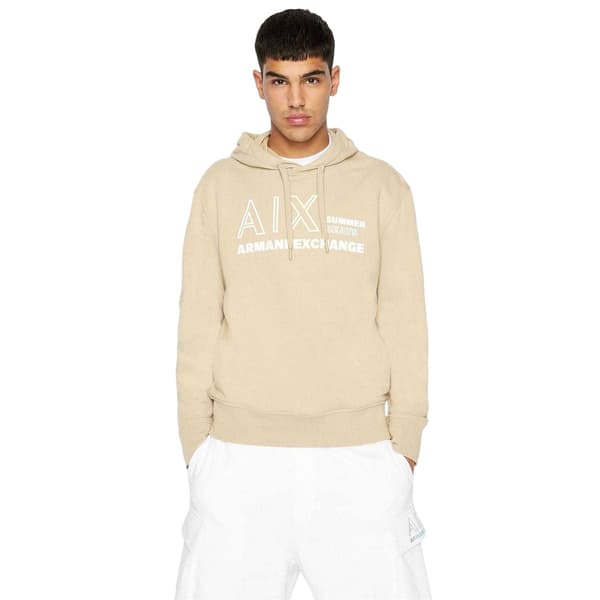 Armani Exchange Miesten Summer Beats Gradient Logo Huppari