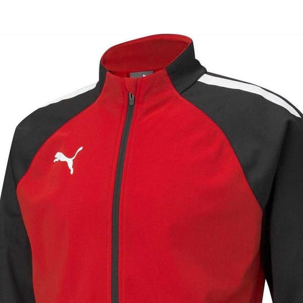 Puma Herr TeamLIGA Träningströja