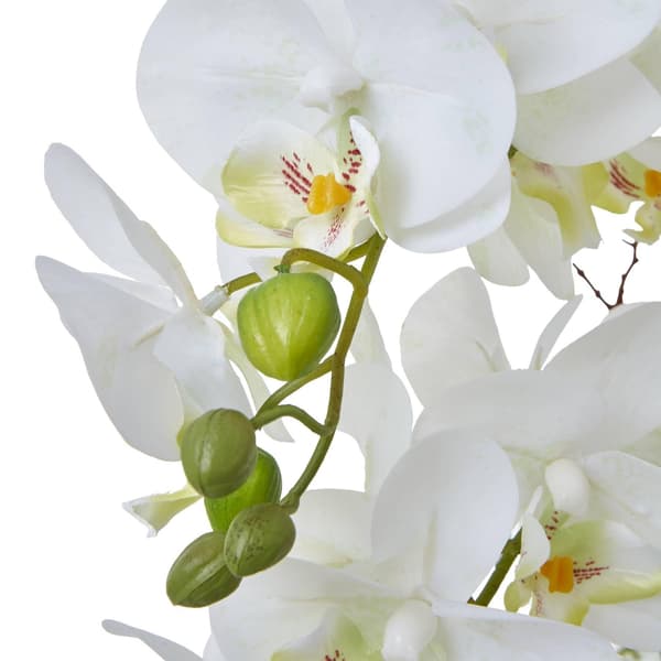 Hill Interiors Ceramic Orchid Flower Pot