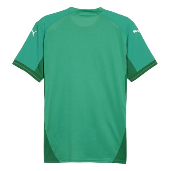 Puma Herr TeamFinal Tröja T-shirt
