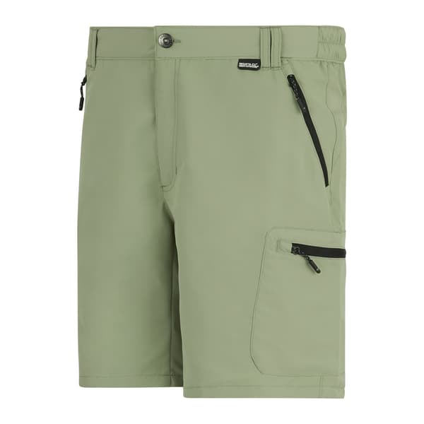 Regatta Leesville III Shorts för män