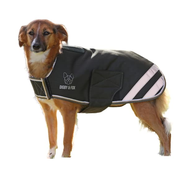 Digby & Fox Logo Waterproof Dog Coat