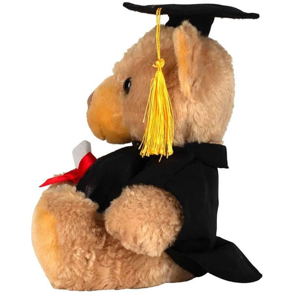 Mumbles Graduation Teddy Bear