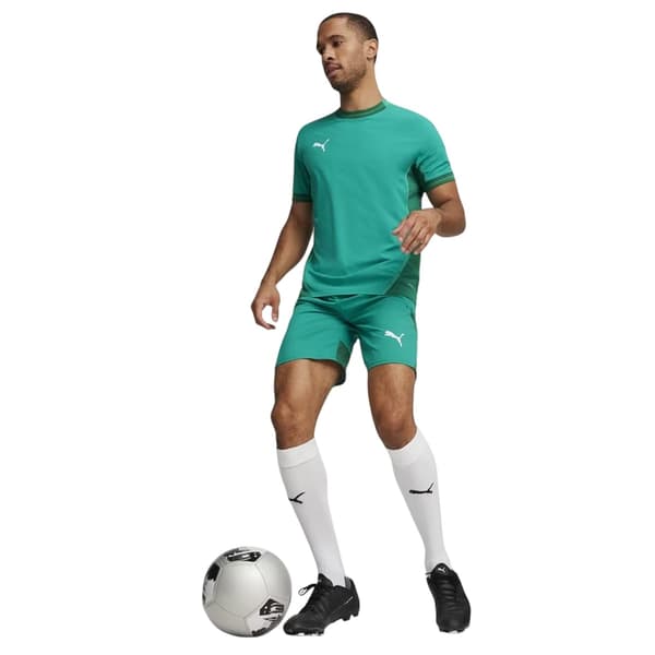 Puma Herr TeamFinal Tröja T-shirt