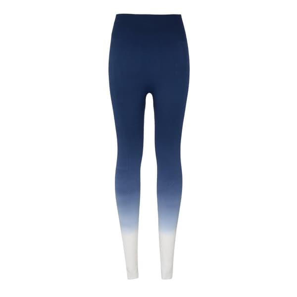 USA Dam Ombre Leggings