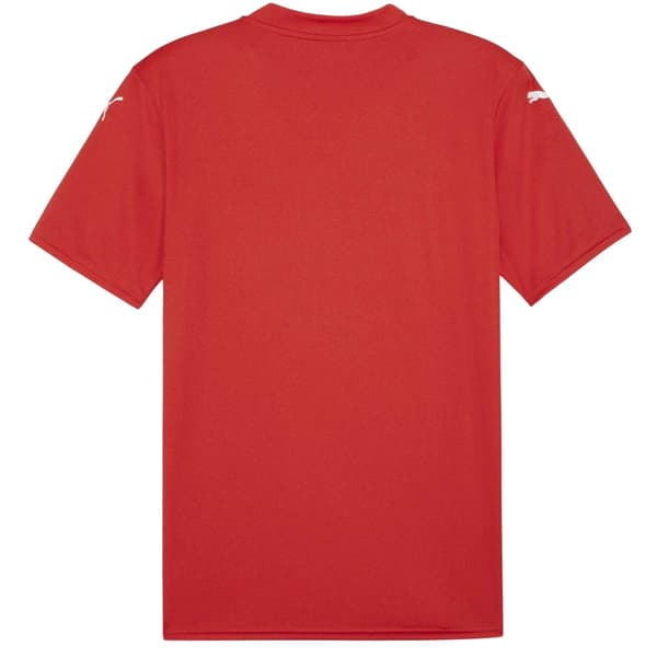 Puma Miesten Teamglory Jersey T-paita