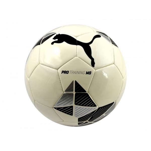 Puma Pro Träningsfotboll