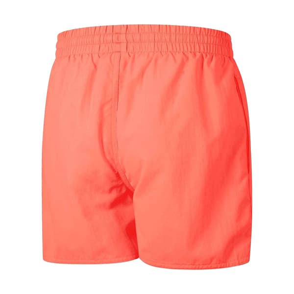 Speedo Badshorts för män Essential