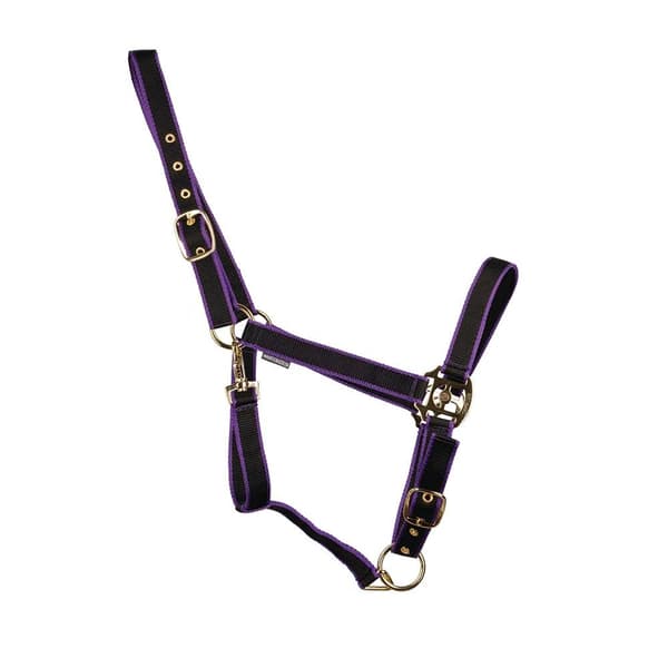 HYCONIC Horse Headcollar
