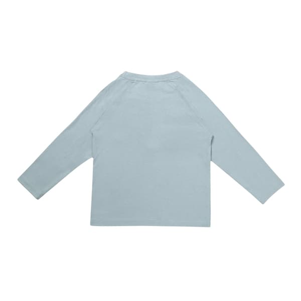 Lilly & Sid Childrens/Kids Badger Raglan T-Shirt