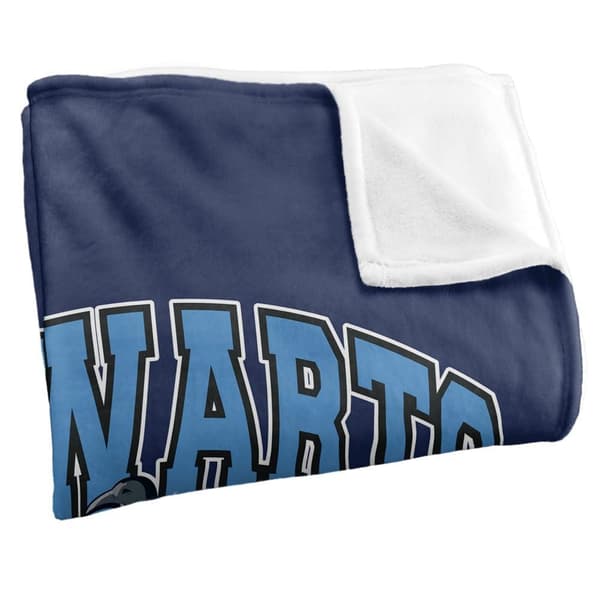 Harry Potter Hogwarts Alumni Ravenclaw Throw