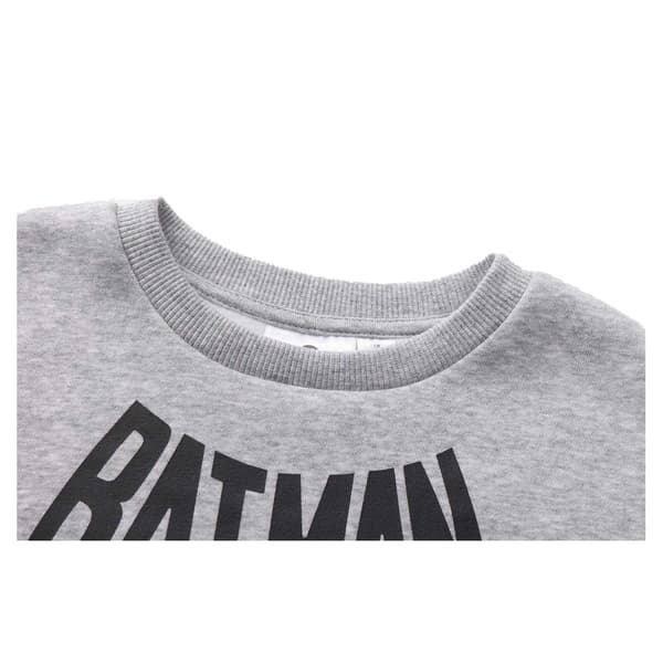 Batman Boys Crew Logo Brushed Back Crew Neck Sweatshirt