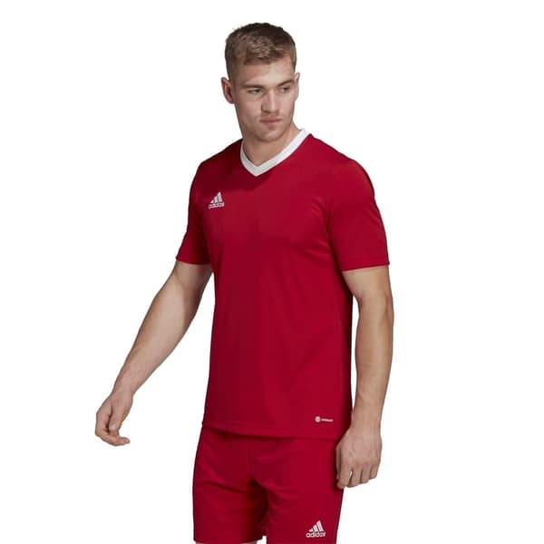 Adidas Herrtröja Entrada 22