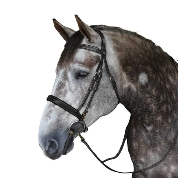 Whitaker Madrid Leather Horse Snaffle Bridle