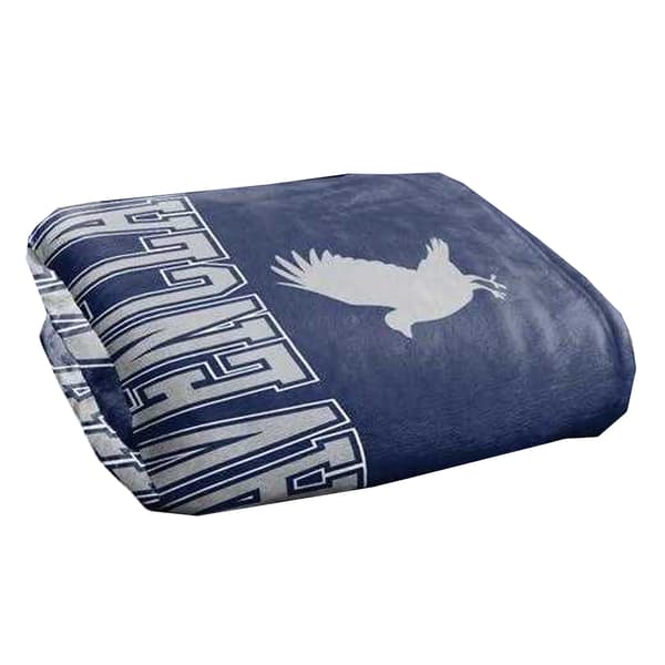 Harry Potter Ravenclaw Soft Touch Blanket