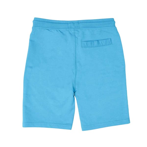 Weekend Offender Dam Cascade Sweatshorts