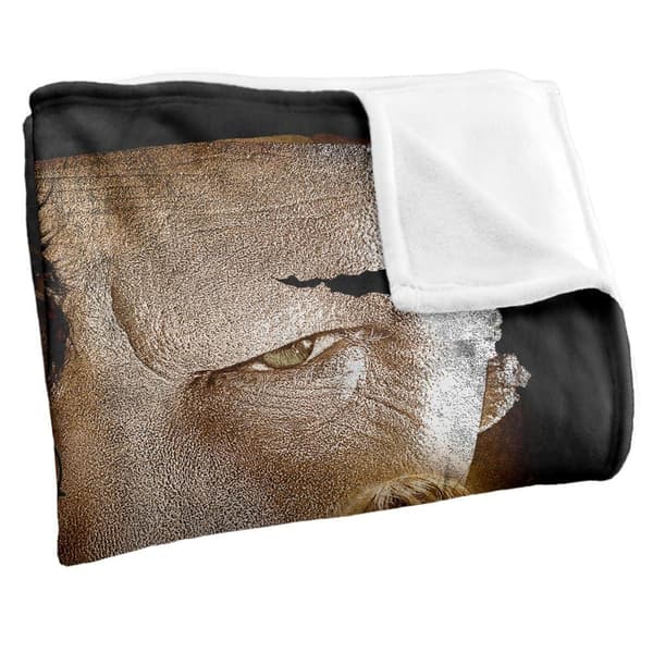 Harry Potter Worn Poster Blanket